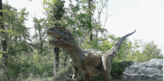 Znanstvenici otkrili ogromnog dinosaura koji je harao sjeverom Italije Saltriovenator, dinosaur, Italija
