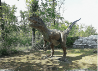 Znanstvenici otkrili ogromnog dinosaura koji je harao sjeverom Italije Saltriovenator, dinosaur, Italija