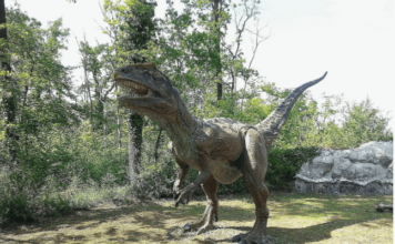 Znanstvenici otkrili ogromnog dinosaura koji je harao sjeverom Italije Saltriovenator, dinosaur, Italija