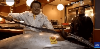 Tuna prodana za rekordnih tri milijuna dolara tuna, Japan