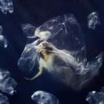 Elisabeth Hoff Drowning in plastic