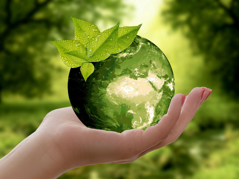održivost, zelena kugla na ženskom dlanu