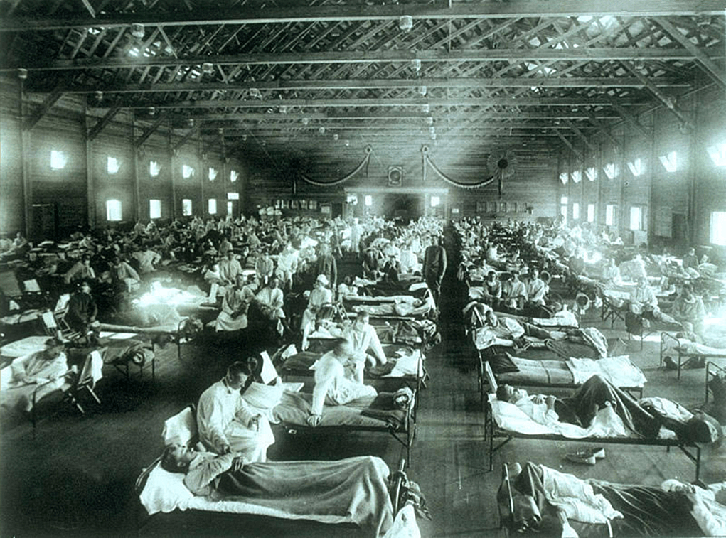 španjolska gripa, virus, epidemija