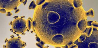 Zabrinjavajuće nove spoznaje o koronavirusu koronavirus, covid, virus