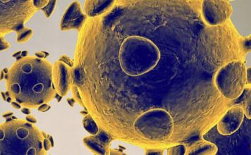 Zabrinjavajuće nove spoznaje o koronavirusu koronavirus, covid, virus