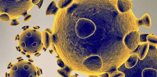 koronavirus, covid, virus