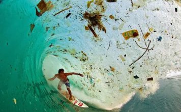 Fotografije koje ilustriraju pogubne ljudske učinke surfer, otpad