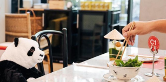 Plišanim pandama protiv usamljenosti panda, restoran