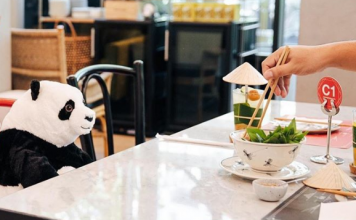 Plišanim pandama protiv usamljenosti panda, restoran
