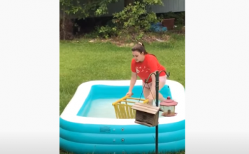 Urnebesni pokušaj spavašanja vjeverice: pogledajte video! spašavanje vjeverice, video